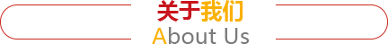 zoty中欧·(中国有限公司)官方网站
